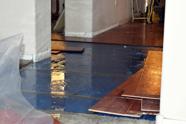 Professional Water Extraction technician working in Houstonia, MO